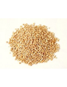 KASZA JĘCZMIENNA BIO...