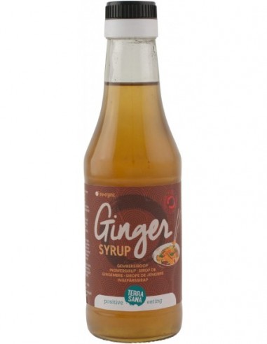 SYROP IMBIROWY BIO 250 ml - TERRASANA