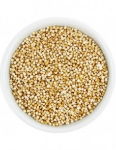 AMARANTUS EKSPANDOWANY BIO...