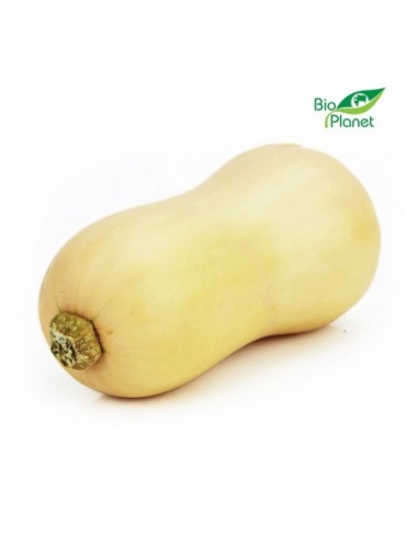 DYNIA PIŻMOWA (BUTTERNUT) ŚWIEŻA BIO...