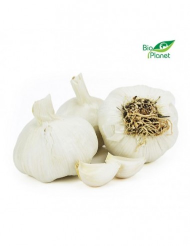 CZOSNEK ŚWIEŻY BIO (około 0,20 kg)