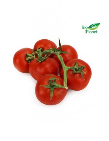 POMIDORY NA GAŁĄZCE BIO (około 0,45 kg)