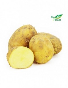 OPAKOWANIE ZBIORCZE (kg) -...