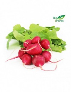 RZODKIEWKI ŚWIEŻE BIO...