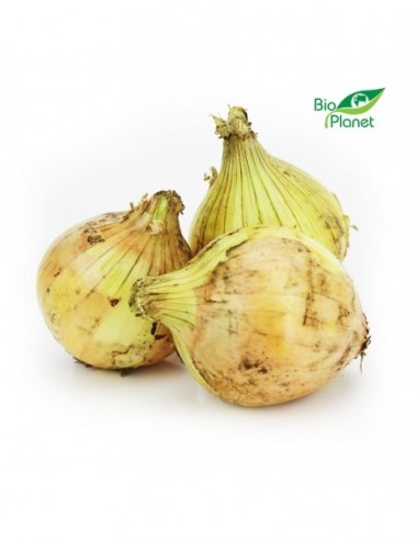 CEBULA ŻÓŁTA ŚWIEŻA BIO (POLSKA)...