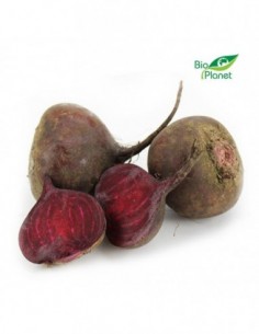 BURAK CZERWONY ŚWIEŻY BIO...