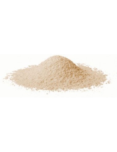 MĄKA KASZTANOWA BIO (SUROWIEC) (20 kg) 2
