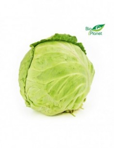 OPAKOWANIE ZBIORCZE (kg) -...