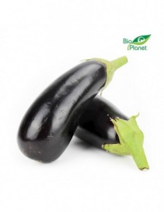 BAKŁAŻAN ŚWIEŻY BIO (około...