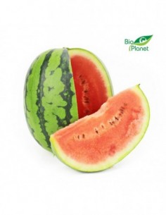 OPAKOWANIE ZBIORCZE (kg) -...