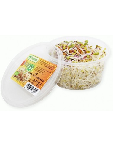 KIEŁKI MIESZANKA ŚWIEŻE BIO (około 50 g)