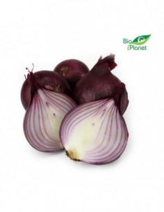 CEBULA CZERWONA ŚWIEŻA BIO...