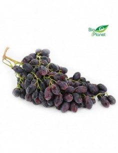 WINOGRONA CZERWONE ŚWIEŻE...