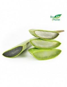 OPAKOWANIE ZBIORCZE (kg) -...