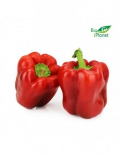 OPAKOWANIE ZBIORCZE (kg) -...