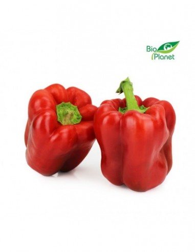 OPAKOWANIE ZBIORCZE (kg) - PAPRYKA...