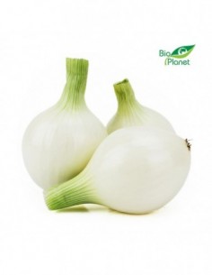 CEBULA BIAŁA ŚWIEŻA BIO...