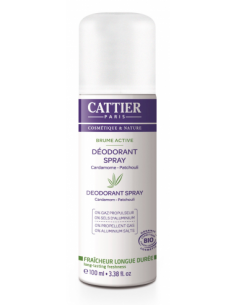 DEZODORANT SPRAY ECO 100 ml...