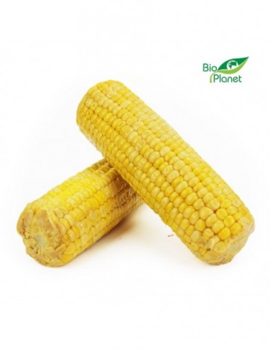 KUKURYDZA SŁODKA BIO (około 0,40 kg)