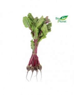 BOTWINA ŚWIEŻA BIO (POLSKA)...