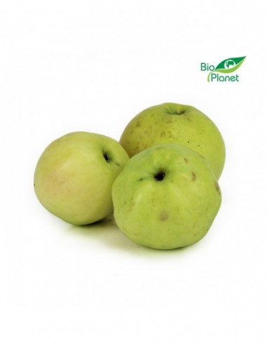 OPAKOWANIE ZBIORCZE (kg) - JABŁKA...