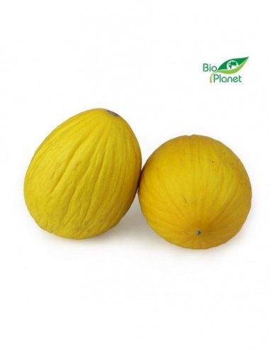 MELON ŚWIEŻY BIO (około 1,00 kg)