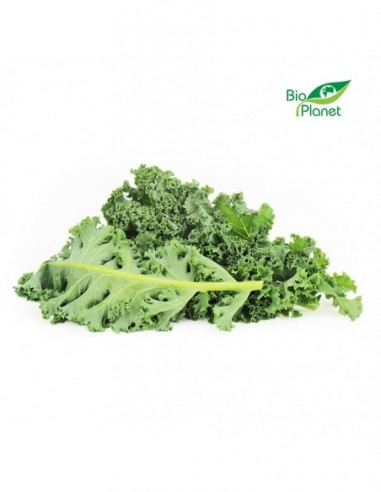 OPAKOWANIE ZBIORCZE (kg) - JARMUŻ...