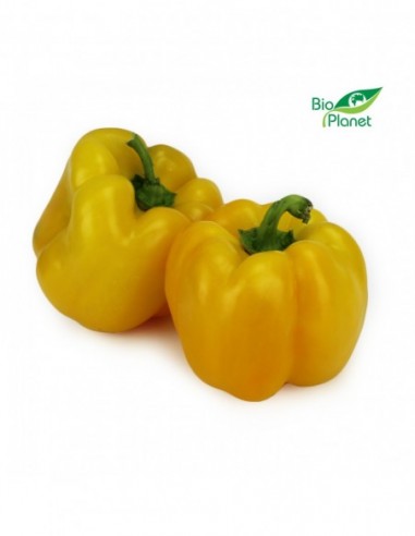 OPAKOWANIE ZBIORCZE (kg) - PAPRYKA...