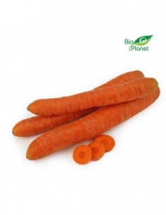 MARCHEW ŚWIEŻA MYTA BIO...