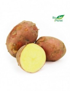 ZIEMNIAKI CZERWONE ŚWIEŻE...