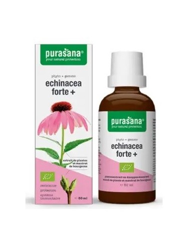 ECHINACEA FORTE (JEŻÓWKA PURPUROWA)...