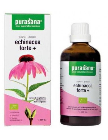 ECHINACEA FORTE (JEŻÓWKA PURPUROWA)...