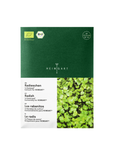 MATA Z NASIONAMI RZODKIEWKI BIO -...