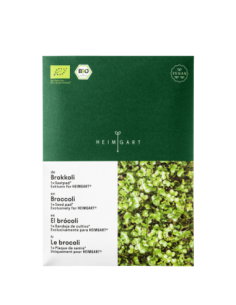 MATA Z NASIONAMI BROKUŁA...