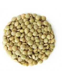 SOCZEWICA ZIELONA BIO...