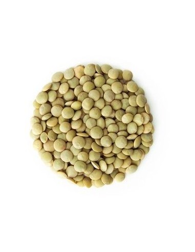 SOCZEWICA ZIELONA BIO (SUROWIEC) (25...