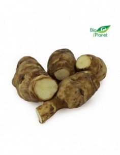 TOPINAMBUR ŚWIEŻY BIO...