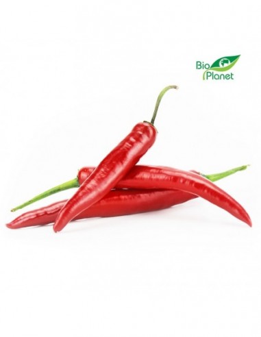 PAPRYKA CHILI ŚWIEŻA BIO (około 0,10 kg)