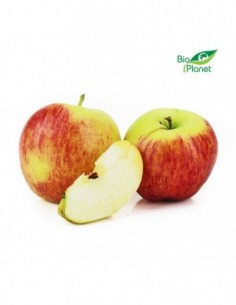 OPAKOWANIE ZBIORCZE (kg) -...