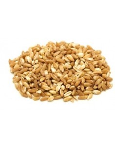 ORKISZ (ZIARNO) BIO...