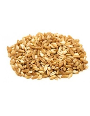 ORKISZ (ZIARNO) BIO (SUROWIEC) (25 kg) 8