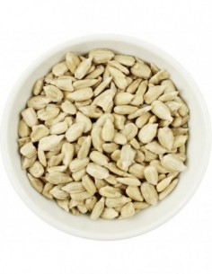 SŁONECZNIK ŁUSKANY BIO...