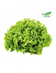 OPAKOWANIE ZBIORCZE (szt) -...