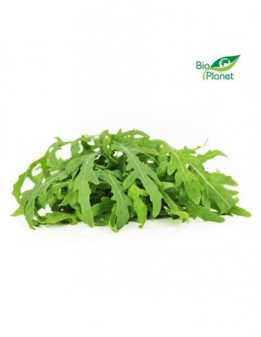 RUKOLA ŚWIEŻA BIO (POLSKA) (około 100 g)