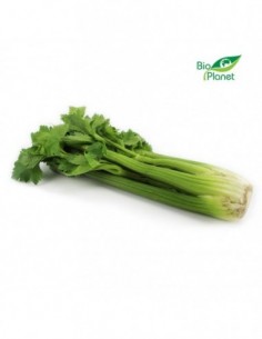 SELER NACIOWY ŚWIEŻY BIO...