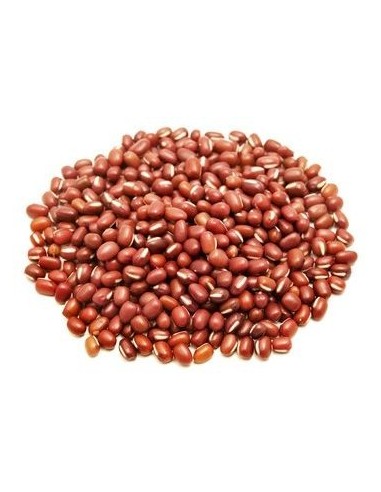 FASOLKA ADZUKI BIO (SUROWIEC) (25 kg) 2