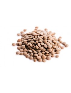 SOCZEWICA BRĄZOWA BIO...