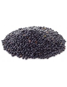 SOCZEWICA CZARNA BELUGA BIO...