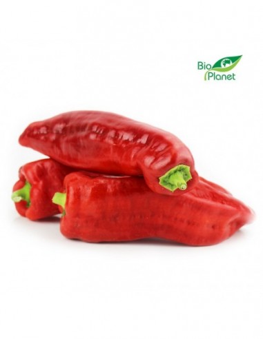 PAPRYKA DŁUGA ŚWIEŻA BIO (POLSKA) kg