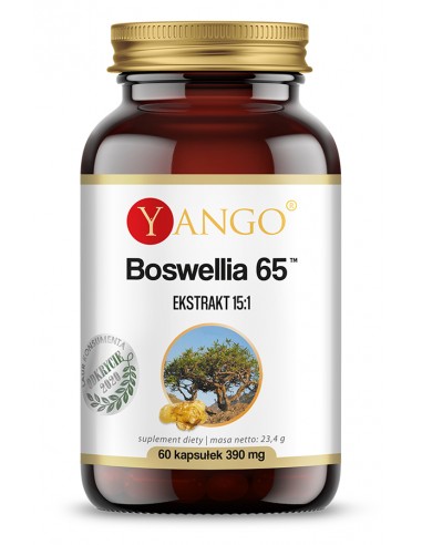 Boswellia 65™ - ekstrakt 65% - 60 kaps.